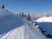 PIANI DELL'AVARO - SCI NORDICO - gennaio 2013 - FOTOGALLERY